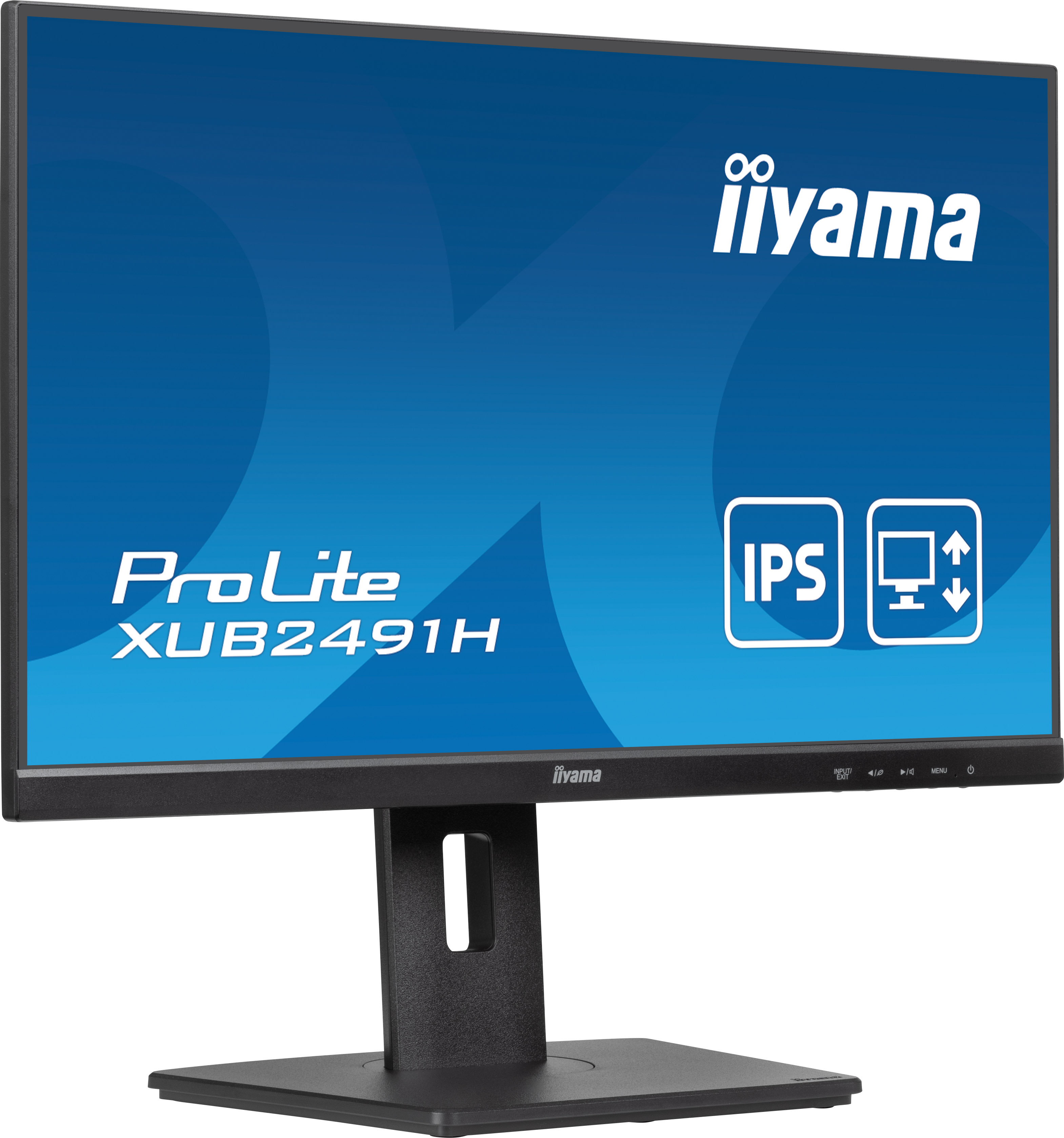 238605cm iiyama ProLite XUB2491H schwarz 169
