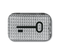 Busch-Jaeger Symbol 2145 TR Tür glasklar Busch-Jaeger Symbol 2145 TR Tür glasklar