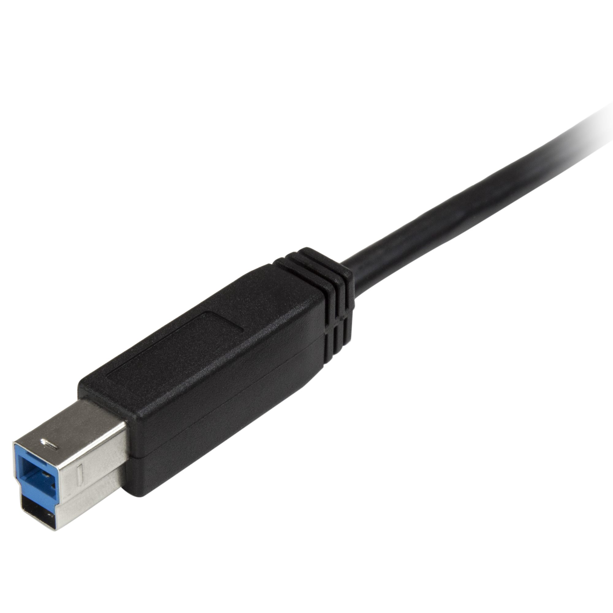 STARTECHCOM USBC to USBB Cable MM 2 m 6 ft USB 30