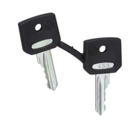 Schneider Electric Ersatzschlüssel für Schlüsselschalter 455 PK=2Stck Schneider Electric Ersatzschlüssel für Schlüsselschalter 455 PK=2Stck