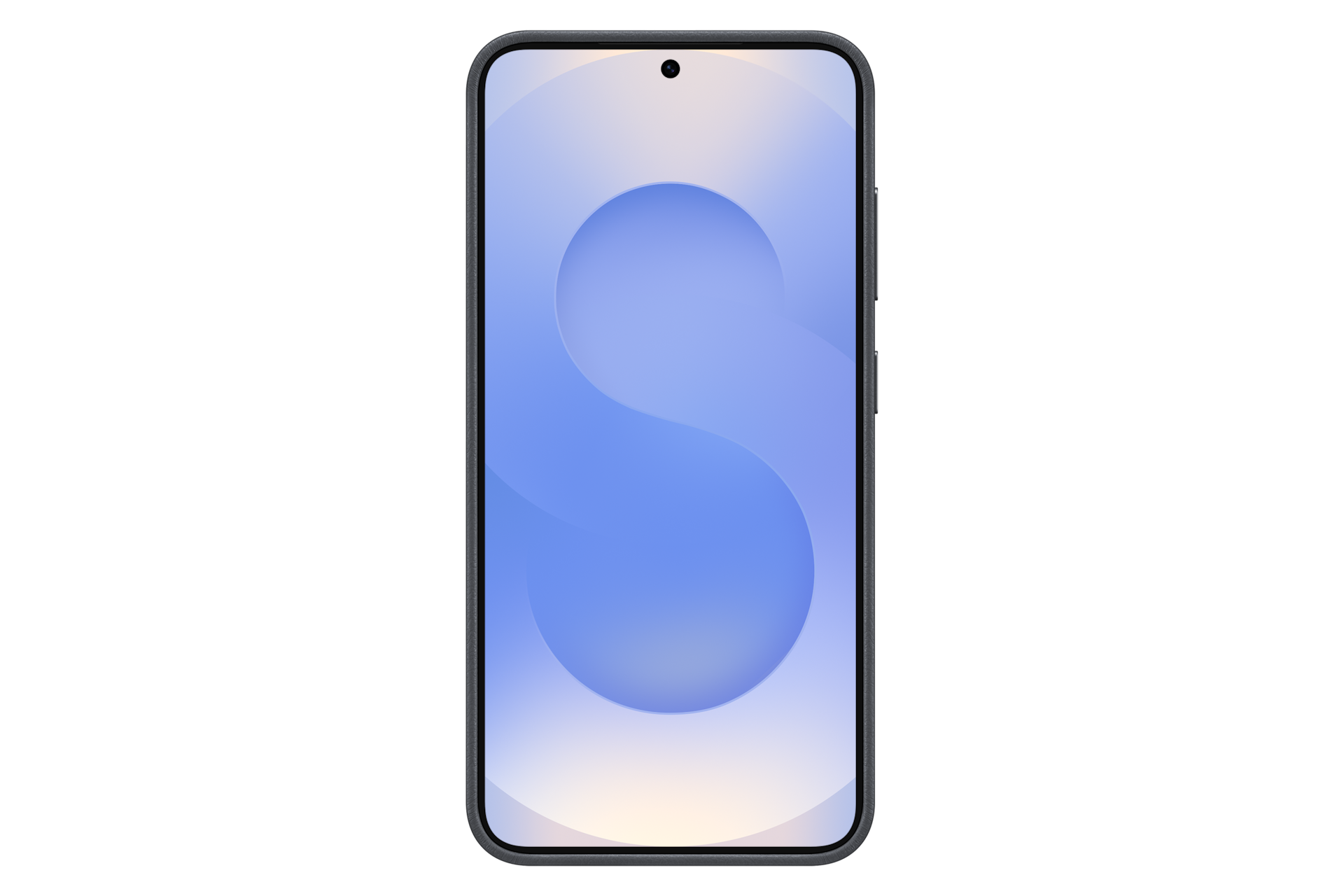 Samsung Kindsuit Case Galaxy S25 Black