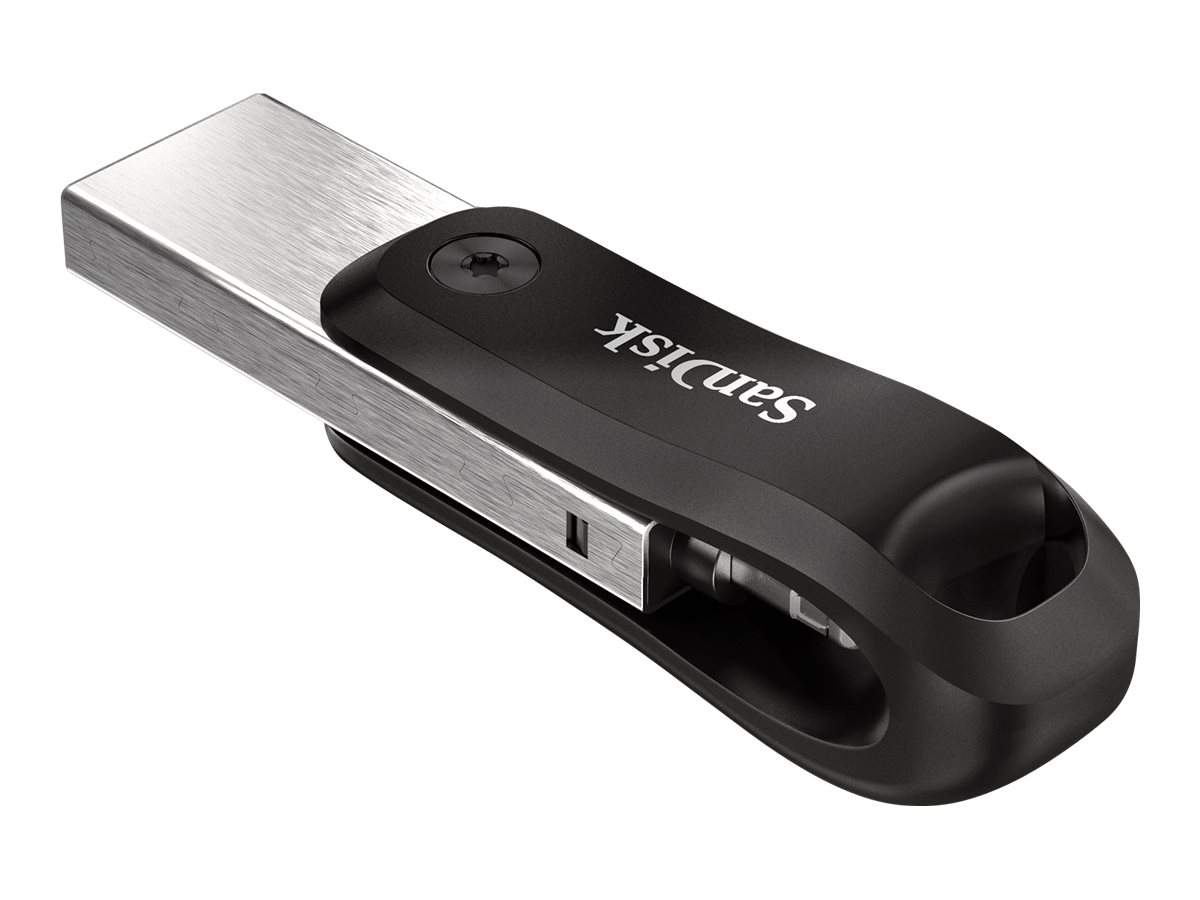 SanDisk USB-Stick iXpand Go schwarz, silber 256 GB