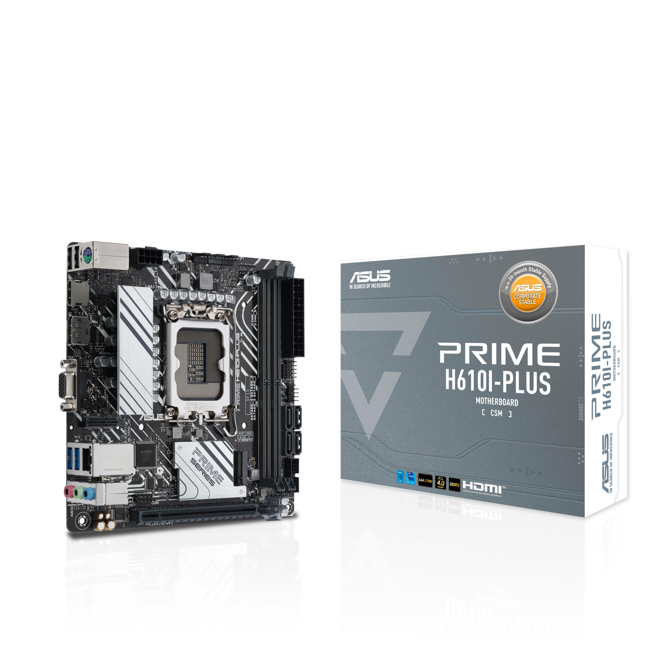 ASUS PRIME H610IPLUSCSM Intel LGA 1700 2DDR5 miniATX 4xSATA MB 1xHDMI 1xDP 1xDSub