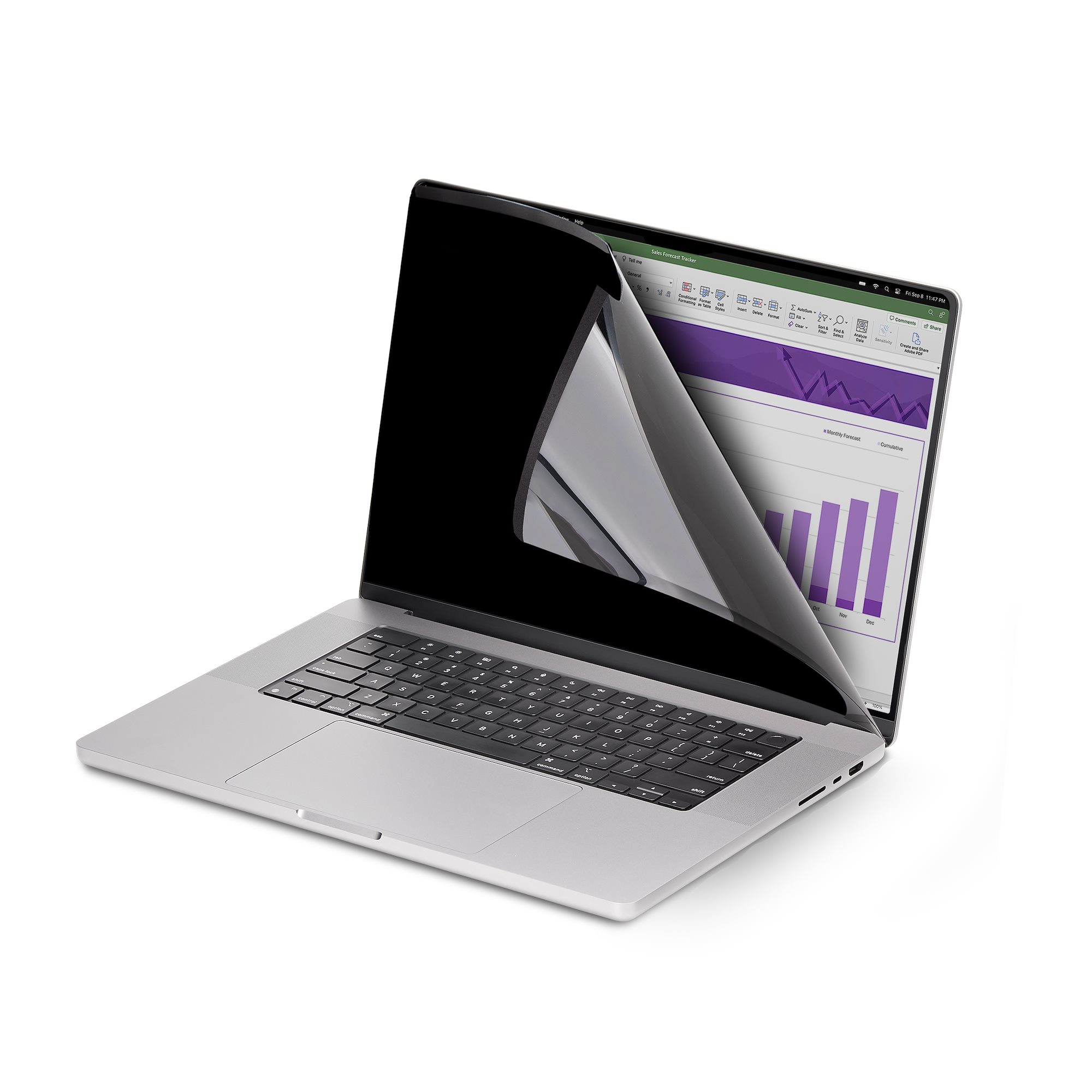 STARTECHCOM 35,56cm 14Zoll MacBook Pro 2123 Laptop Blickschutz Entfernbarer amp Reversibler AntiGlare Blaulichtfilter Magnet