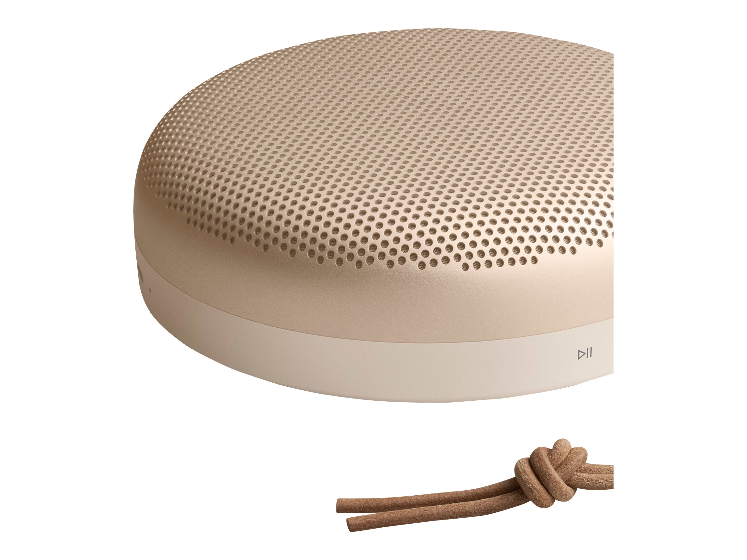 Bang & Olufsen Beosound A1 (2. Generation), Gold