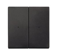Merten Serienwippe MEG52200414 2f. Anthrazit Merten Serienwippe MEG52200414 2f. Anthrazit