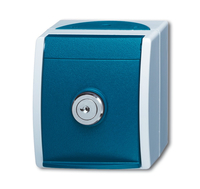 Busch-Jaeger Steckdose 20 EWSL-101-53 ocean grau/blaugrün Busch-Jaeger Steckdose 20 EWSL-101-53 ocean grau/blaugrün