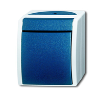 Busch-Jaeger Taster 2621 W-53 ocean Schliesser grau/blaugrün Busch-Jaeger Taster 2621 W-53 ocean Schliesser grau/blaugrün