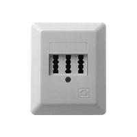 ZE-KOM TAE Dreifachdose: TAE 3 x 6 NFN AP, reinweiss RAL9010 ZE-KOM TAE Dreifachdose: TAE 3 x 6 NFN AP, reinweiss RAL9010