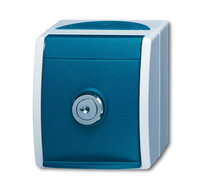 Busch-Jaeger Steckdose 20 EWSL-53 ocean grau/blaugrün Busch-Jaeger Steckdose 20 EWSL-53 ocean grau/blaugrün
