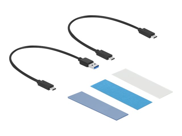 DELOCK Externes USB-C Combo Geh?use f?r M.2 NVMe PCIe oder SATA SSD werkzeugfrei