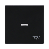 BuschJaeger Wippe 1789 LI885 Symbol Licht schwarz matt