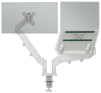 Esselte Leitz Laptop-Monitor-Halterung Ergo 65380085 1 Monitor 1 Laptop lichtgrau