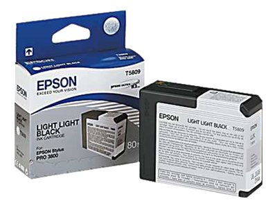 EPSON T5809  light light schwarz Druckerpatrone