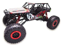 Amewi RC Auto Buggy Storm D5 gruen 118 NiMh Akk