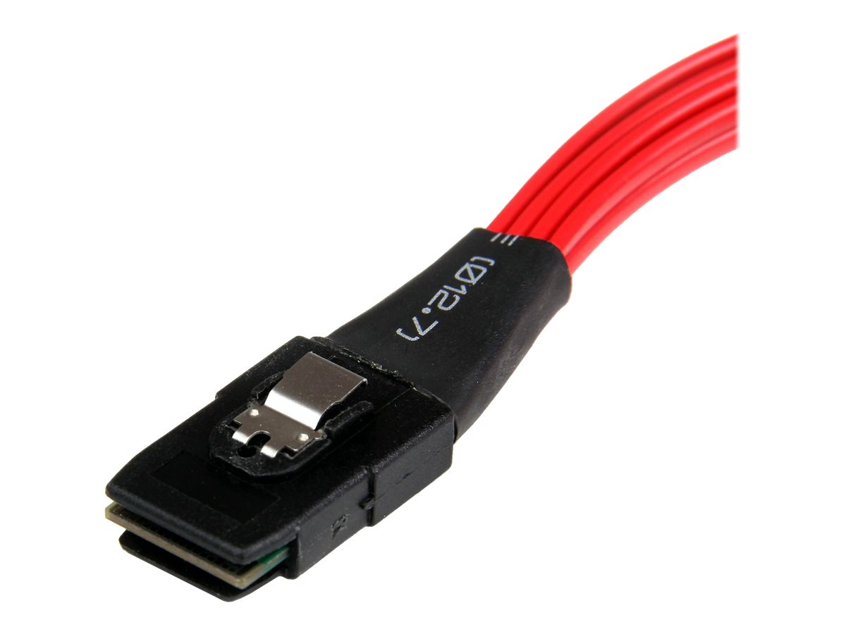 STARTECHCOM 50cm SFF8087 to 4x SATA Internal Mini SAS to SATA Reverse Cable