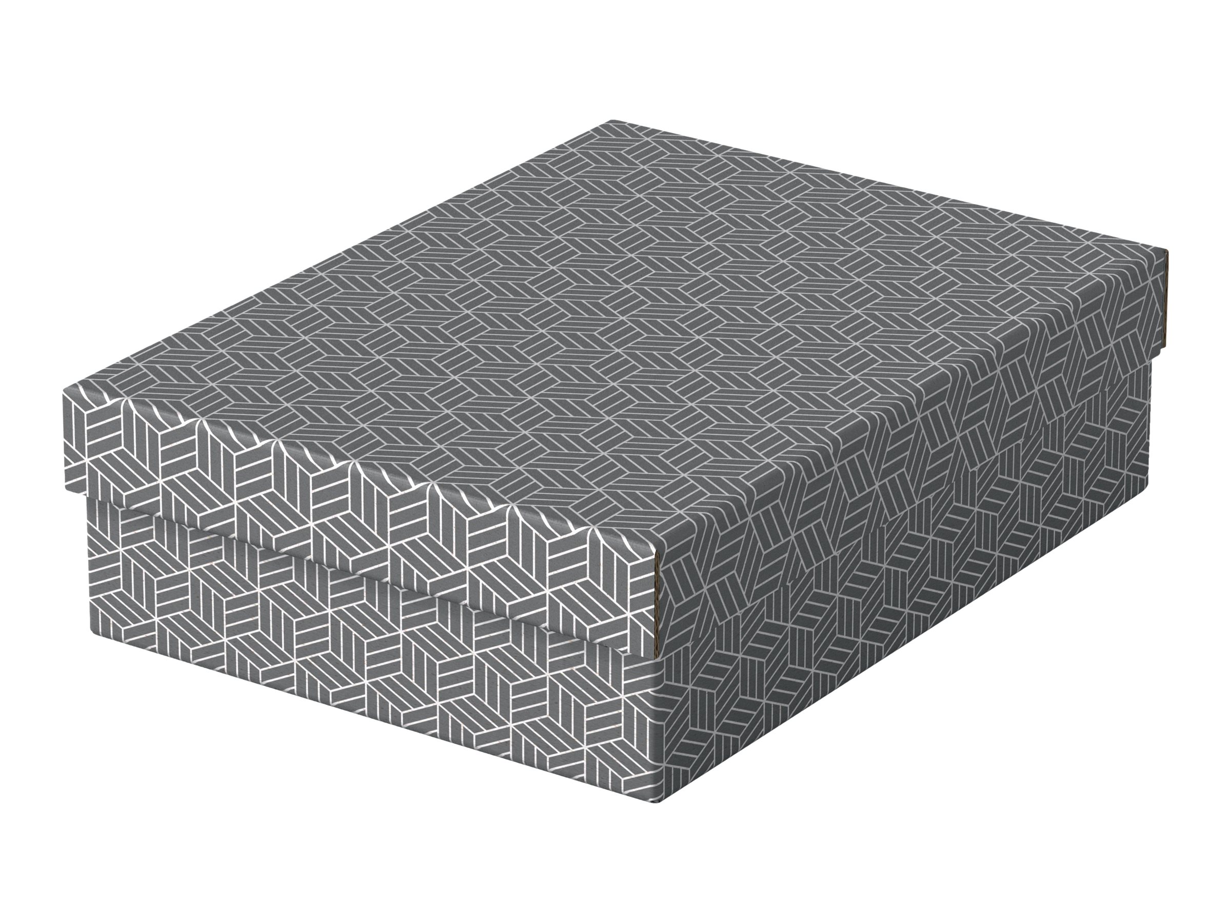 3 Esselte Home Aufbewahrungsboxen 8,0 l grau 26,5 x 36,0 x 10,0 cm