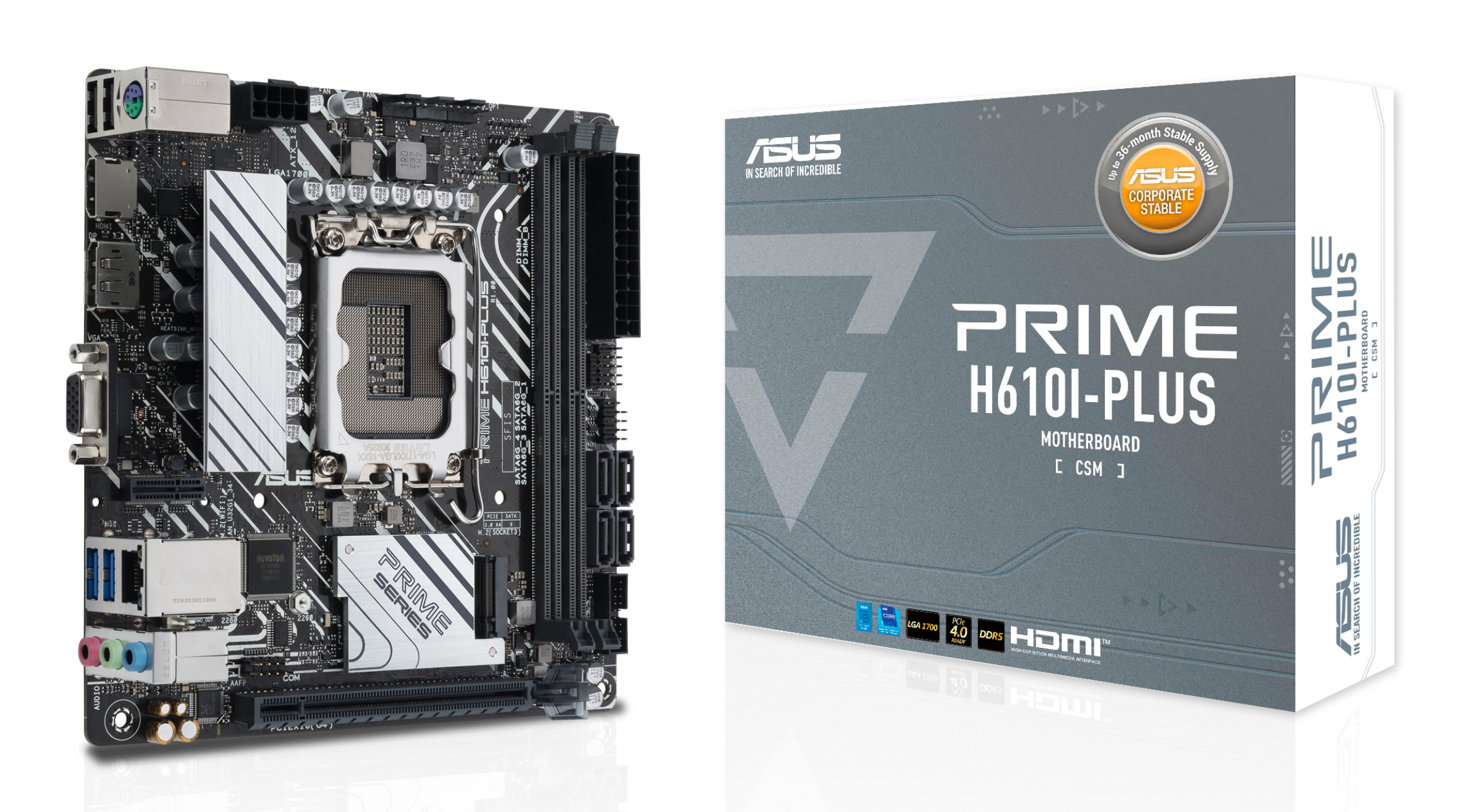 ASUS PRIME H610IPLUSCSM Intel LGA 1700 2DDR5 miniATX 4xSATA MB 1xHDMI 1xDP 1xDSub