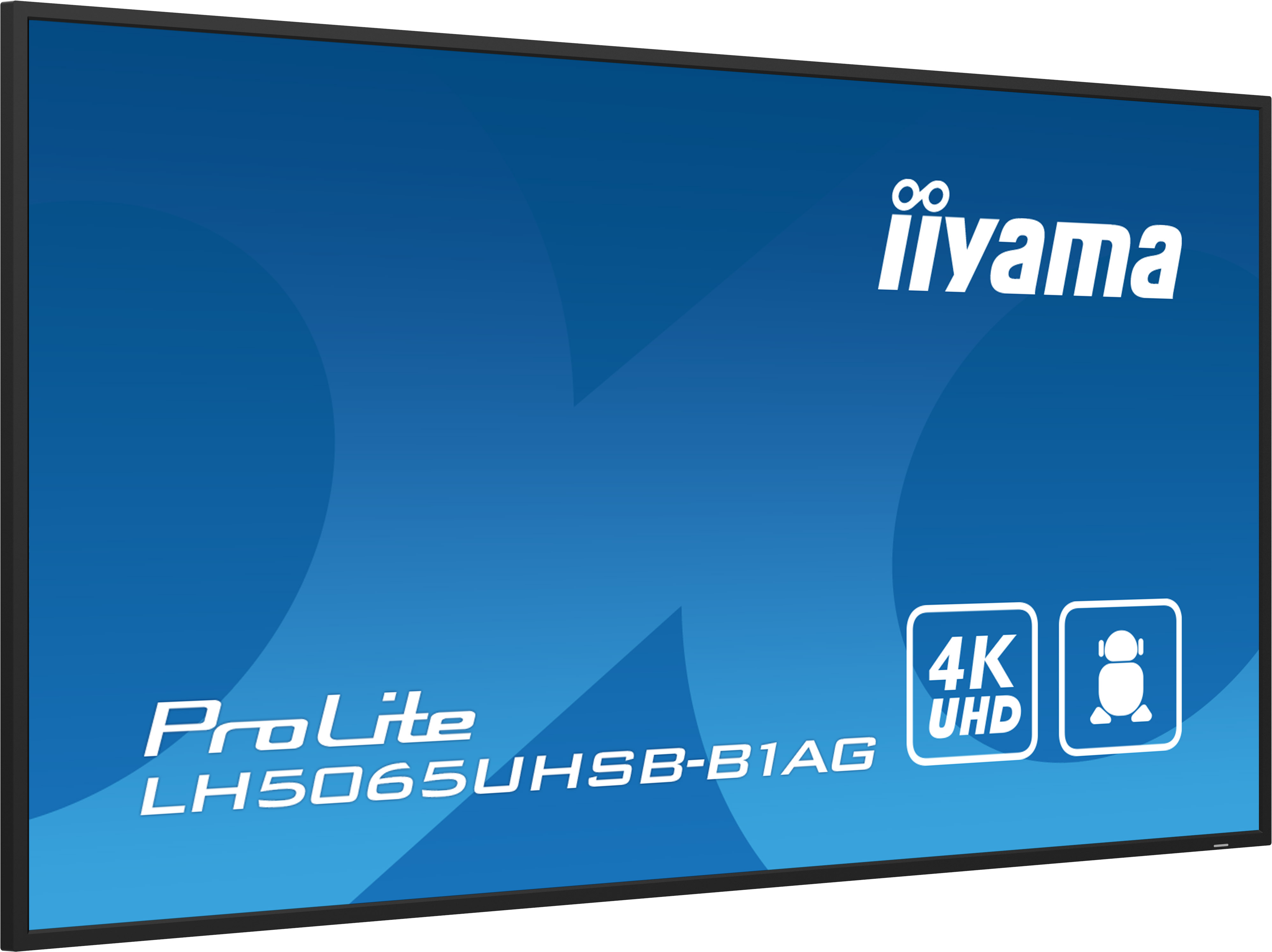 Iiyama ProLite LH5065UHSB-B1AG 50 Zoll VA
