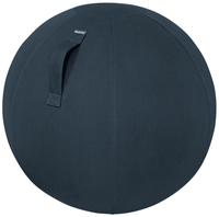 LEITZ Ergo Cosy Sitzball grau 65,0 cm LEITZ Ergo Cosy Sitzball grau 65,0 cm