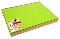 100 PROnappe Platzsets gruen 30,0 x 40,0 cm 100 PROnappe Platzsets gruen 30,0 x 40,0 cm