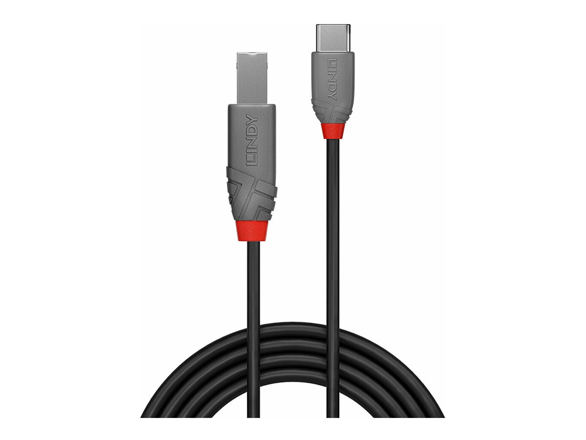 LINDY 3m USB 2.0 Typ C an B Kabel Anthra Line