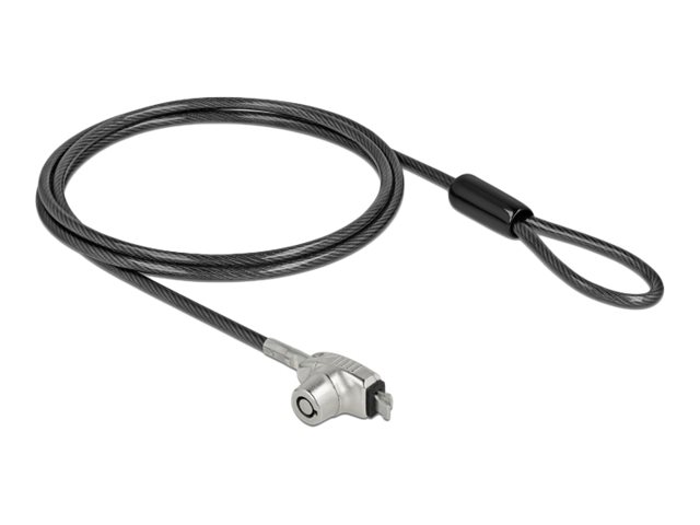 DeLock Notebook Diebstahlsicherung mit Schloss