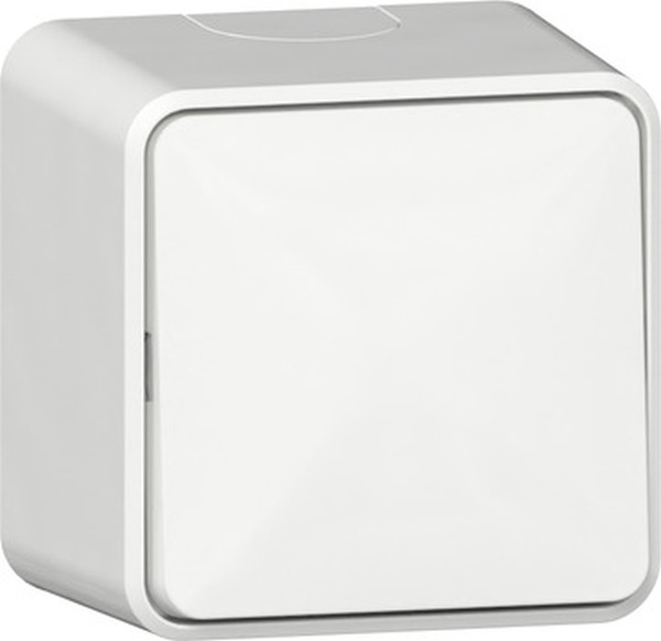 Gira Wippschalter 310613 AusWe AP rws