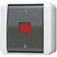 Jung AP-Schalter 802KOW 2polig
