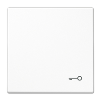 Jung Wippe LS990TWW mit Symbol Tür