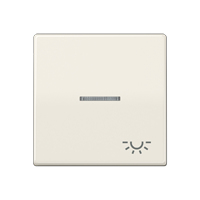 Jung Wippe AS591KO5L mit Symbol Licht Jung Wippe AS591KO5L mit Symbol Licht