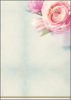 SIGEL Motivpapier Rose Garden Motiv DIN A4 90 g/qm 50 Blatt SIGEL Motivpapier Rose Garden Motiv DIN A4 90 g/qm 50 Blatt