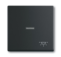 BuschJaeger Wippe 1789 LI885 Symbol Licht schwarz matt