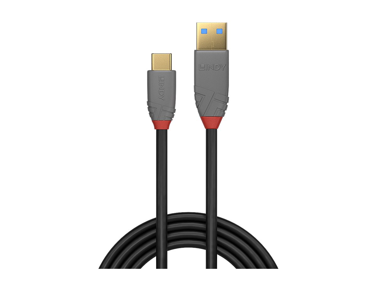 LINDY 3m USB 3.2 Typ A an C Kabel 5A PD Anthra Line