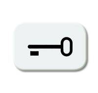 Busch-Jaeger Symbol 2525 TR-214 Schluessel alpinweiss Busch-Jaeger Symbol 2525 TR-214 Schluessel alpinweiss