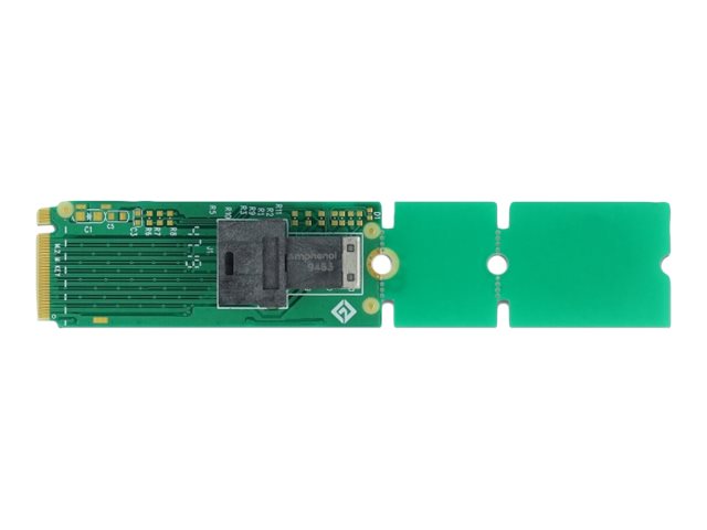 DELOCK Adapter M2 Key M zu SFF8643 NVMe 22110 2280 2260