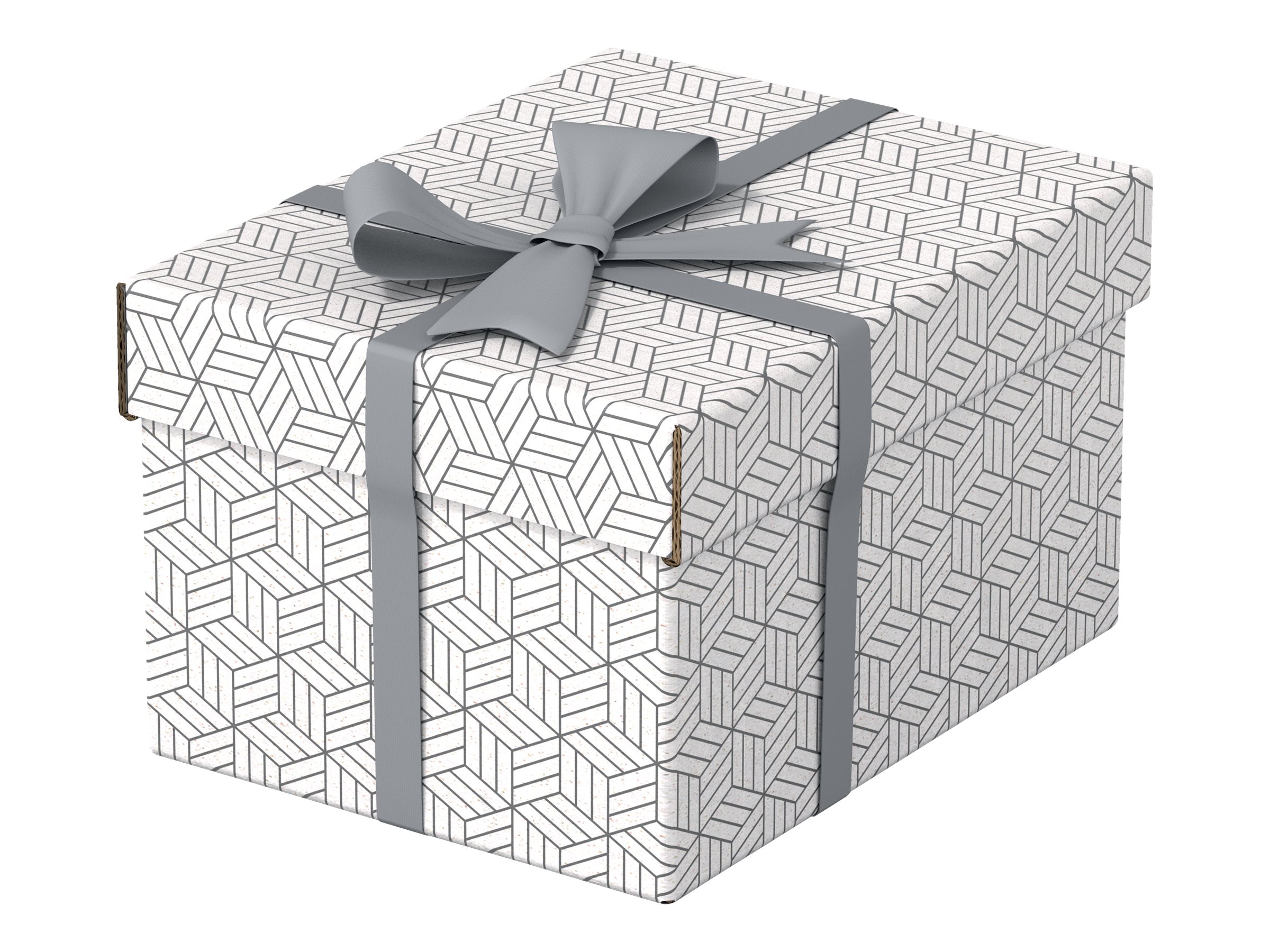 3 Esselte Home Aufbewahrungsboxen 6,5 l weiss 20,0 x 25,5 x 15,0 cm