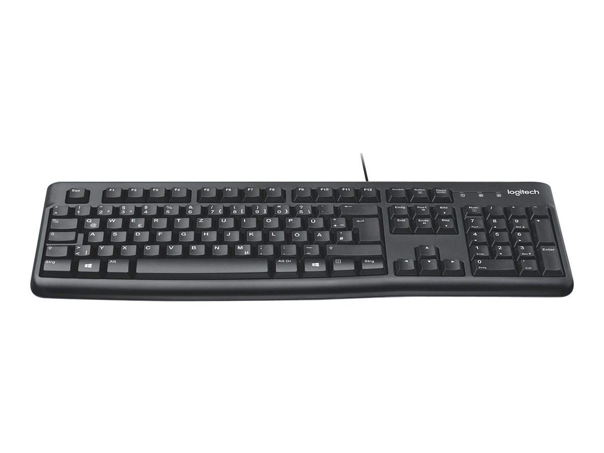920-002489 LOGITECH K120 Tastatur