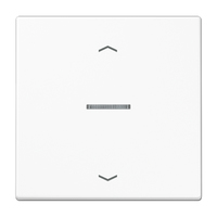 Jung Taster BTLS17101PWW HOME 1fmPfs