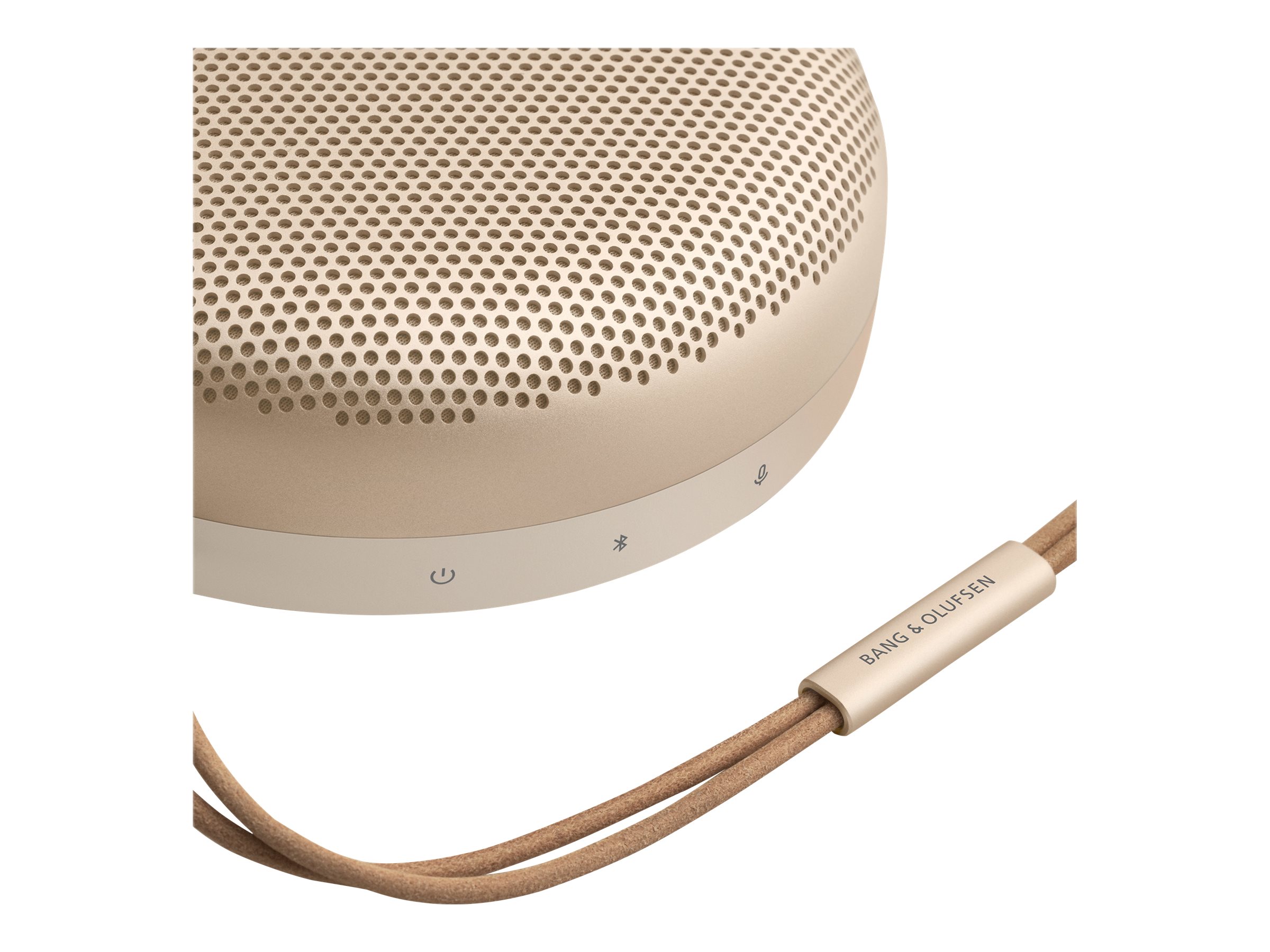 Bang & Olufsen Beosound A1 (2. Generation), Gold
