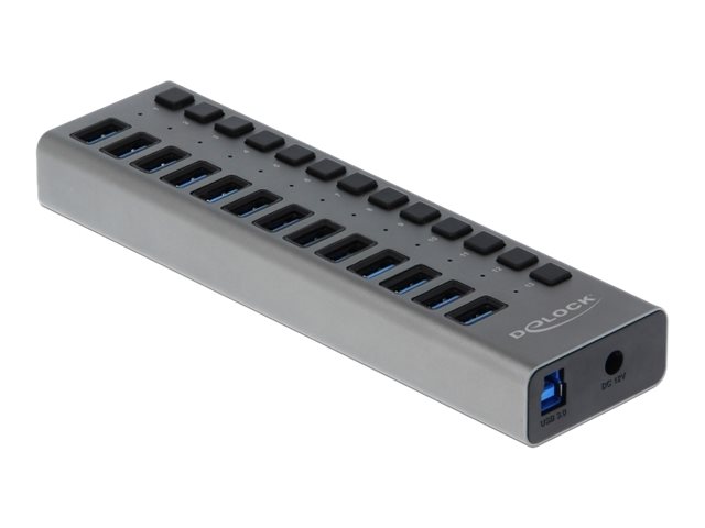 Delock Externer SuperSpeed USB Hub mit 13 Ports + Schalter Delock Externer SuperSpeed USB Hub mit 13 Ports + Schalter