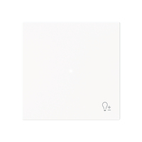 Busch-Jaeger Wippe 6234-10-44M 1-f.m.Symbol Dimmer Busch-Jaeger Wippe 6234-10-44M 1-f.m.Symbol Dimmer