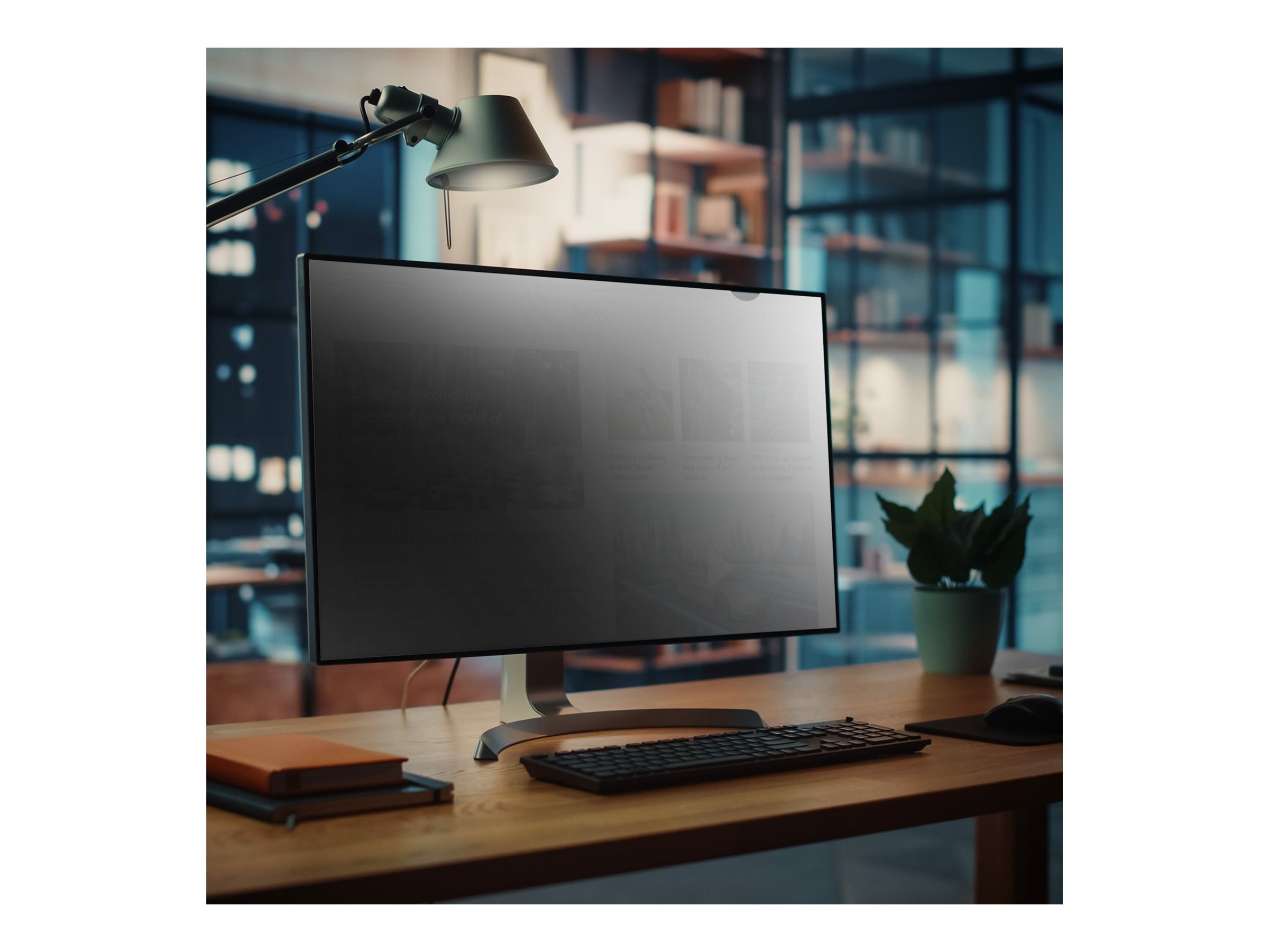 STARTECH.COM 21.5inch Monitor Privacy Screen Universal Matte or Glossy 16:9 Aspect Ratio 30+/- Degree Privacy Viewing Angle