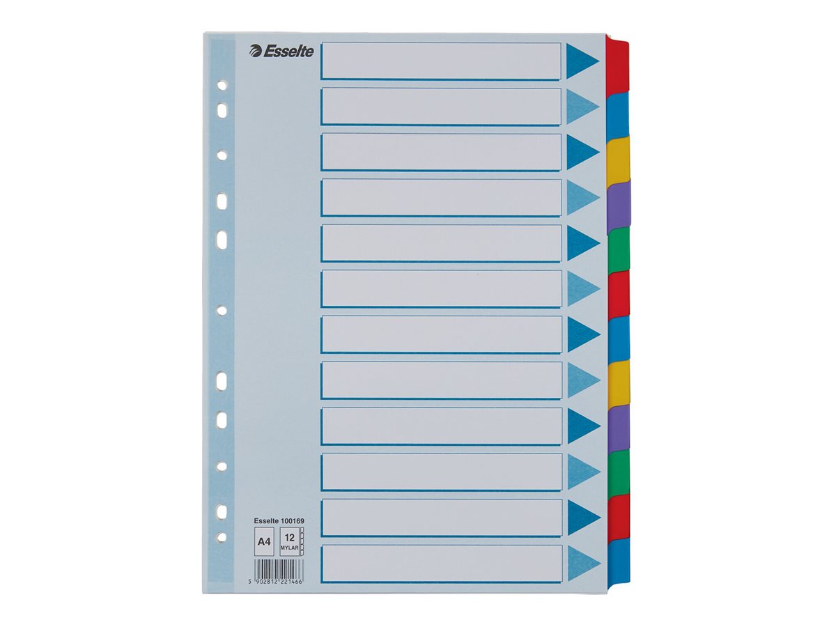 Esselte Ordnerregister DIN A4 Vollformat blanko farbig 12teilig, 1 Satz