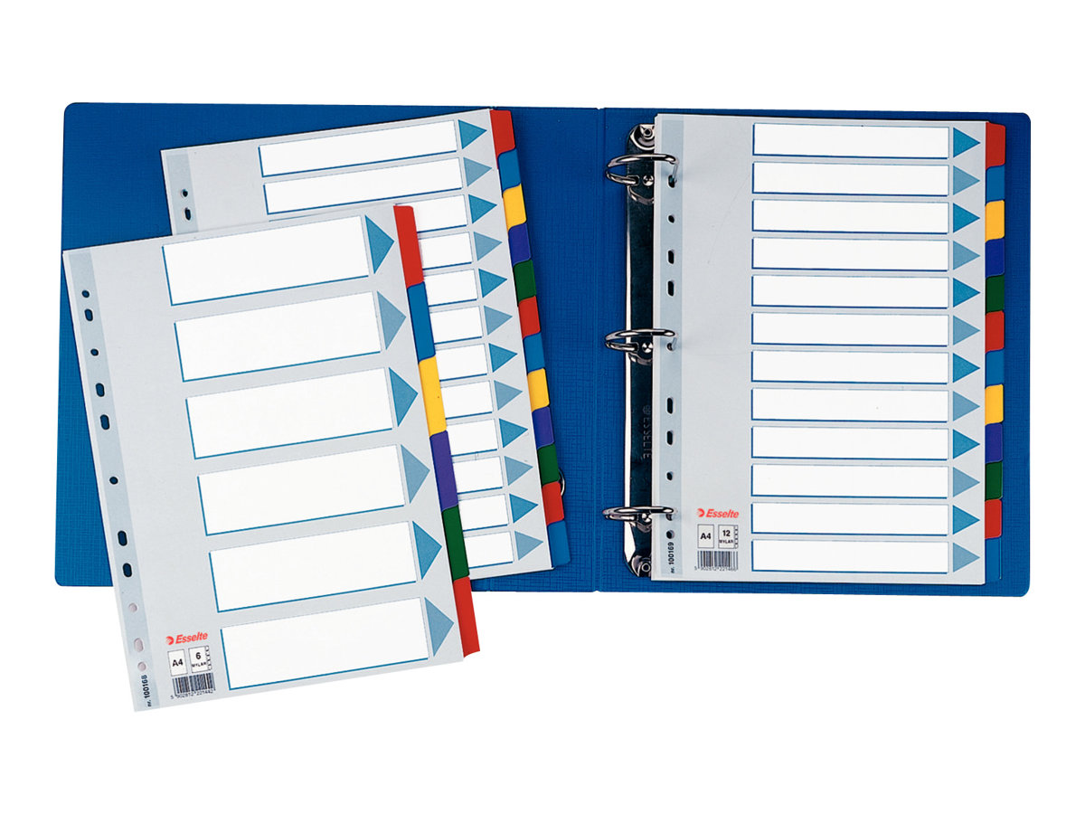 Esselte Ordnerregister DIN A4 Vollformat blanko farbig 6teilig, 1 Satz