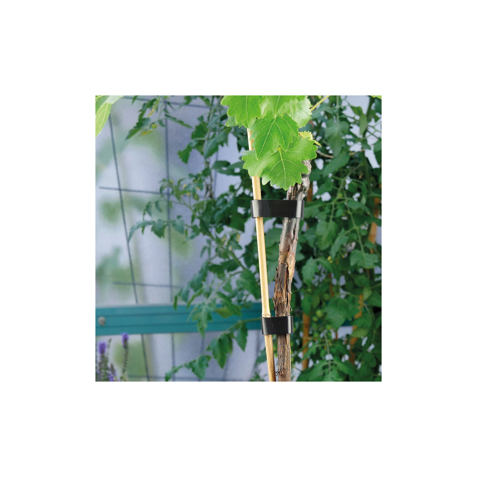 LABEL THE CABLE Klettband ROLL STRAP schwarz