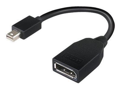 LENOVO Mini-DisplayPort auf DisplayPort-Adapter LENOVO Mini-DisplayPort auf DisplayPort-Adapter