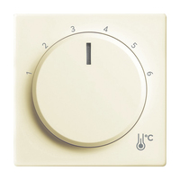 Busch-Jaeger Zentralscheibe 1794 R-82 Temperatur rund
