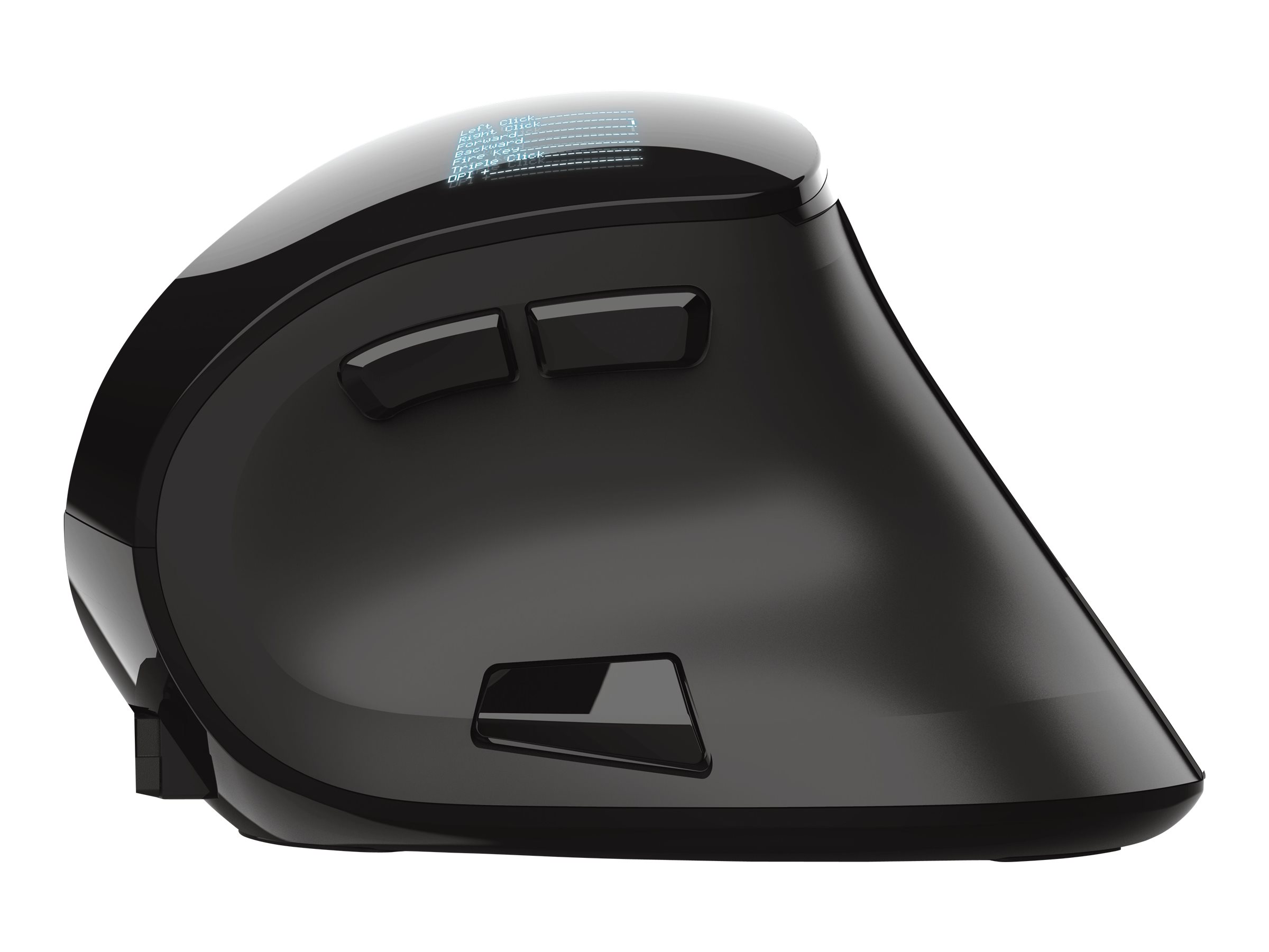 23731 TRUST Voxx ergonomic Maus kabellos