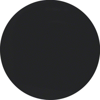 Berker Wippe 16202045 schwarz glänzend Berker Wippe 16202045 schwarz glänzend